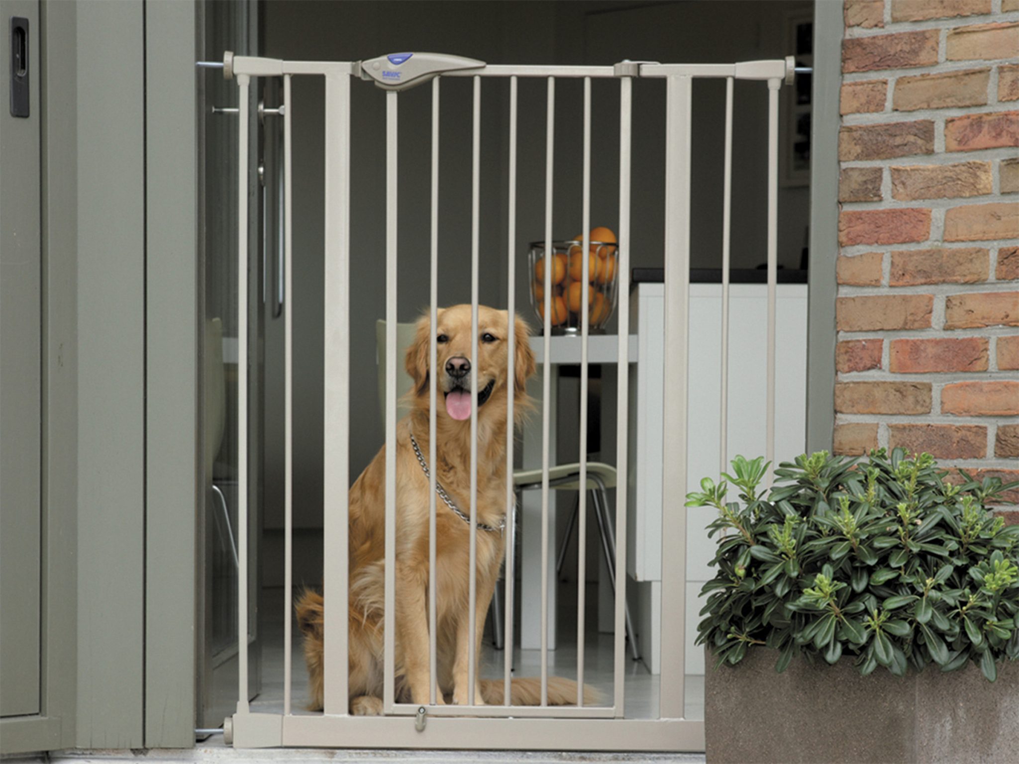 Dog Barrier Door 75cm verlenging 7cm | Dierencomfort